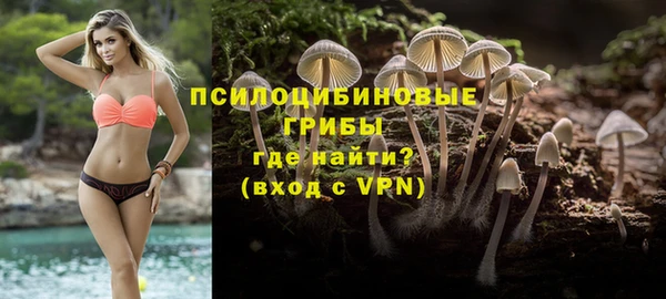 мяу мяу мука Алексин