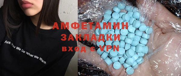 стаф Алзамай