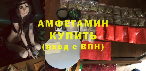 стаф Алзамай