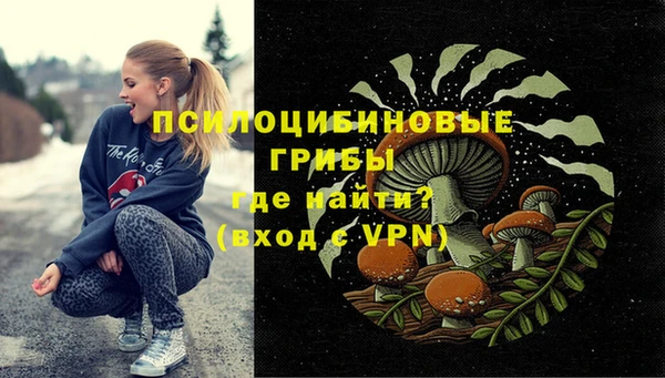 мяу мяу мука Алексин