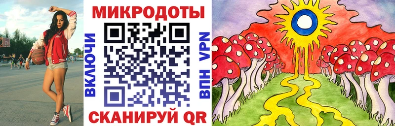 маркетплейс какой сайт Новая Ладога Галлюциногенные грибы мухоморы